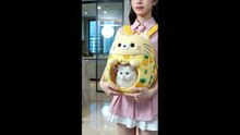 【短剧合集】 和高冷傅总的地久婚长