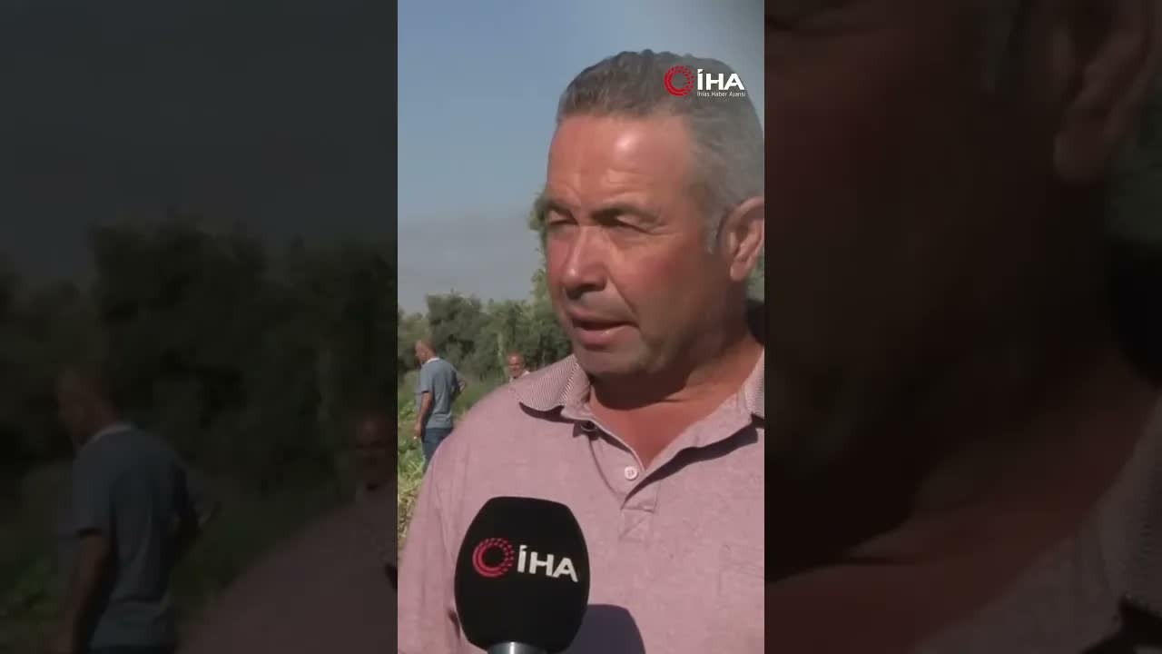 Aydın Karpuzunda Yüzler Gülüyor: Hem Üretici Hem Tüccar Memnun