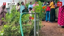 തൊണ്ട വരണ്ടുണങ്ങി സിറോ ലാൻഡ് ഉന്നതി; 3 മാസമായി തുള്ളിവെള്ളമില്ല, രാഷ്ട്രീയ പഴിചാരലിൽ വെന്തുരുകി 45 കുടുംബങ്ങൾ