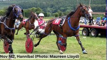 Gallery: Wales & Border Counties Harness Racing at Broadheath Common near Presteigne