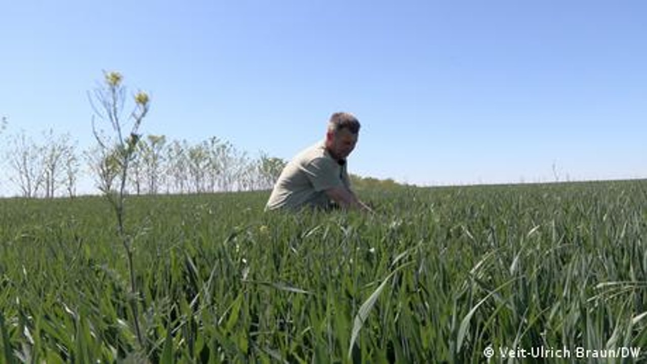 Tech millionaire builds huge organic farm in Serbia
