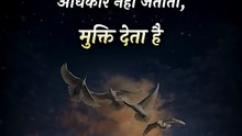 प्रेम और मुक्ति || आचार्य प्रशांत