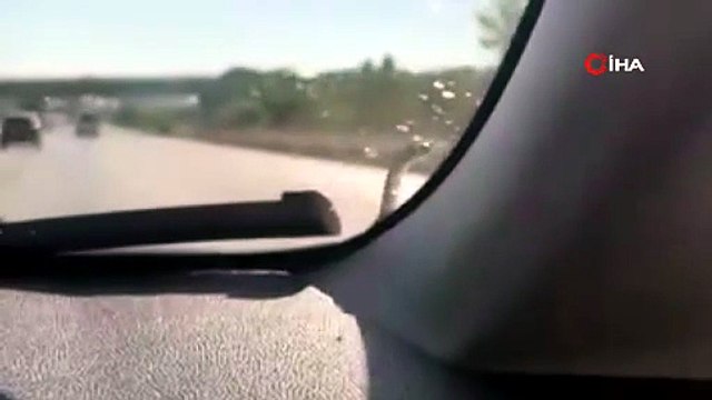 Seyir Halindeki Aracın Kaputundan Yılan Çıktı!