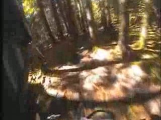 VTT Chamrousse part 3 DH