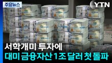 서학개미 투자에...지난해 대미 금융자산 1조 달러 첫 돌파 / YTN