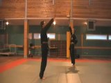 American Kenpo Karaté France MONCHEAUX Forms