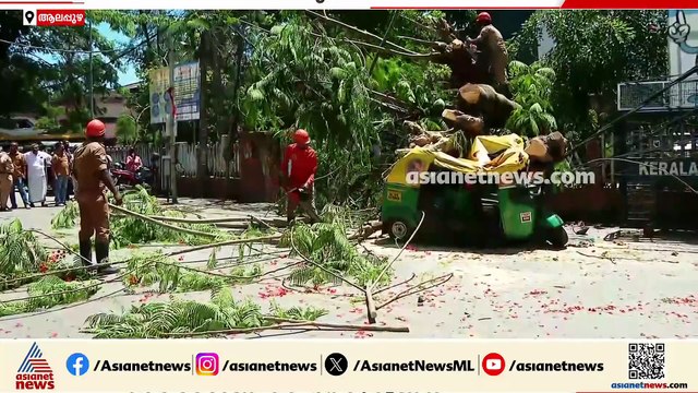ആലപ്പുഴ കലക്ടറേറ്റിൽ വാകമരം കടപുഴകി വീണ് രണ്ട് പേർക്ക് പരിക്ക്