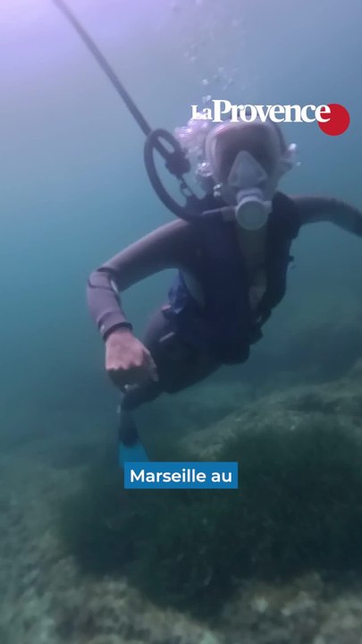Plongée sous-marine : sans bouteille à trois mètres de profondeur, en avant-première à Marseille