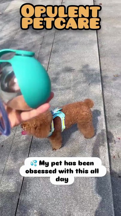 Dog Portable Water Bottle