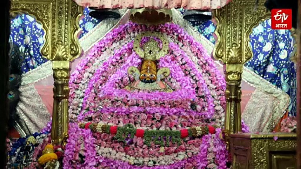 खाटू श्यामजी में निर्जला एकादशी मेला, 6.30 क्विंटल आम और विदेशी फूलों से सजा बाबा का दरबार