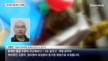 해수욕장 개장 앞두고…상어 출몰 급증