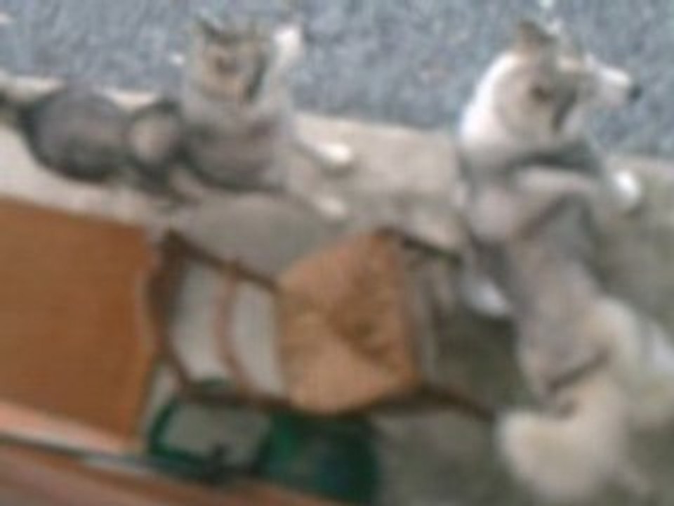 CLIP0019