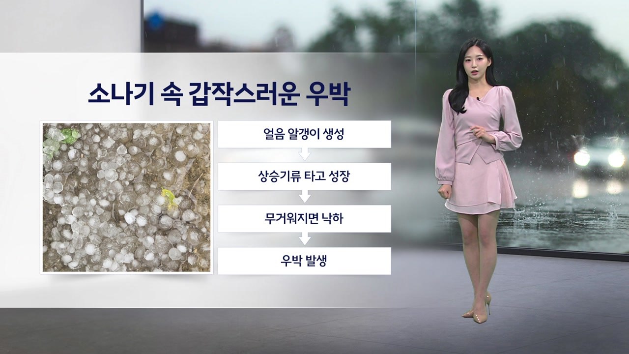 [이슈날씨] 내일 서쪽, 예년 기온 웃도는 더위...동쪽, 곳곳 요란한 소나기 / YTN