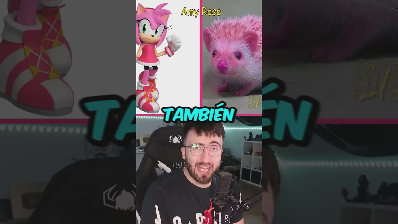 Sonic Characters in Real Life!? 😳