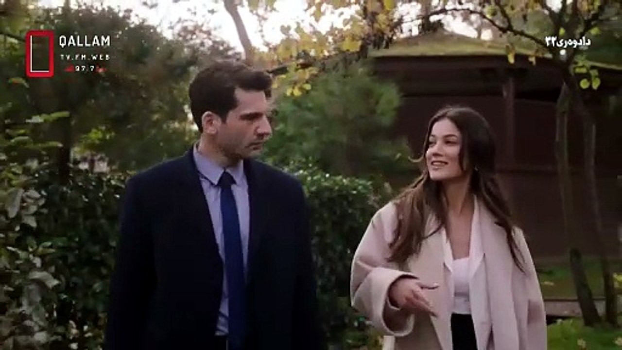 yargi web 33