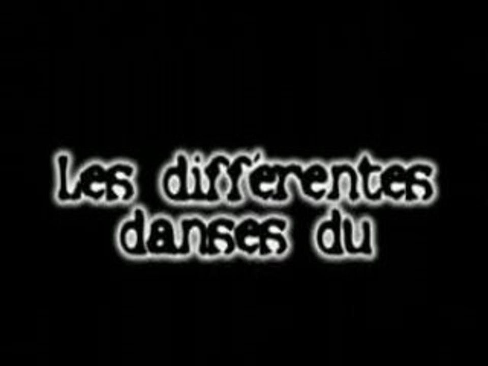 Les danses selon le sibicheteam