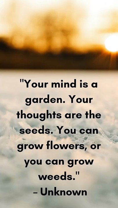 Thoughtfull lines