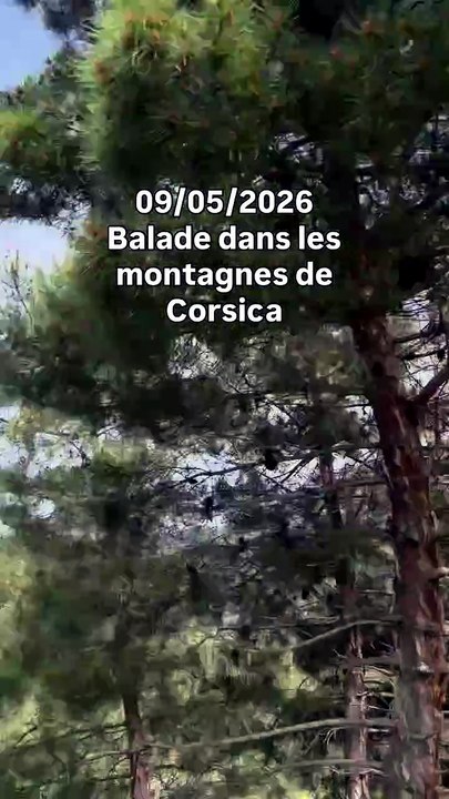 🔥 dans les montagnes de Corsica.mp4