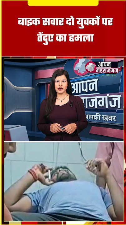 महाराजगंज में तेंदुए का आतंक! बाइक सवार दो युवकों पर हमला, एक गंभीर घायल | Nichlaul Leopard Attack