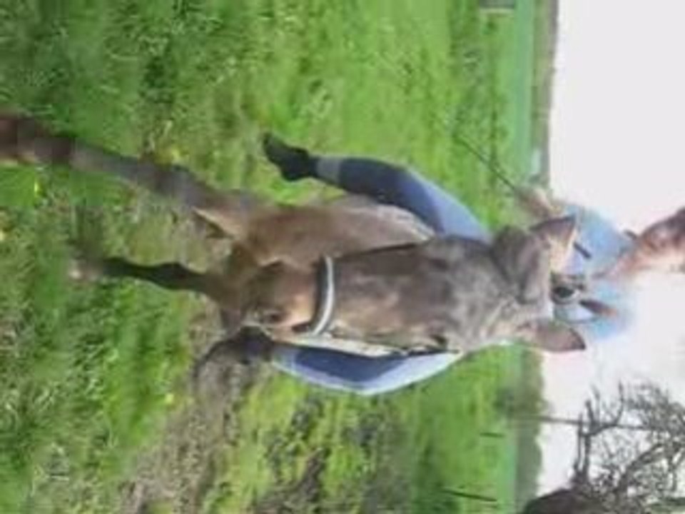 Sucette fait une jambette montée à droite (1)