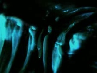 Armies Of Exigo : Human