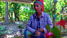 La venganza de Rebeca   Serie Dominicana Completa