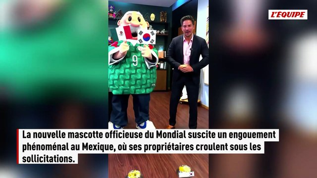 « Il a une aura spéciale, presque magique » : Merlin, le canard devenu la star de la Coupe du monde au Mexique - Respire - Tendances