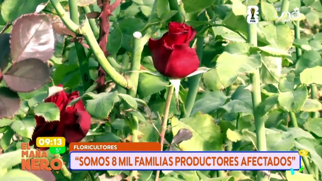 floricultores