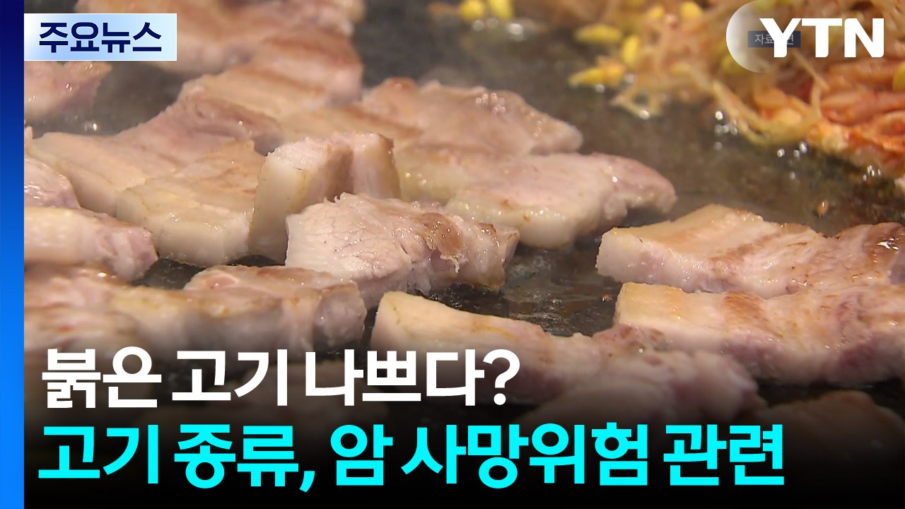 붉은 고기 나쁘다?..."고기 종류가 특정 암 사망 위험과 관련" / YTN