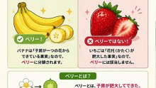 【植物の不思議】バナナはベリーでいちごは違う！？驚きの分類学