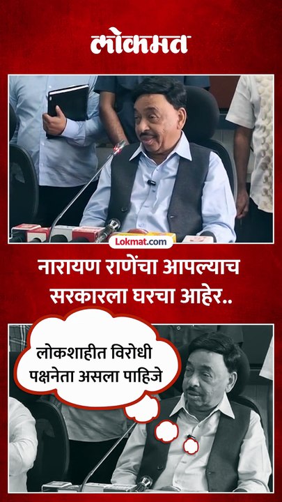 लोकशाहीत विरोधी पक्षनेता असलाच पाहिजे...नारायण राणे यांचं मोठं विधान