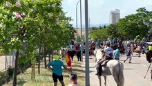Los dos últimos novillos a la altura del polígono de Las Casas
