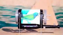 The Parrot That Went Underwater