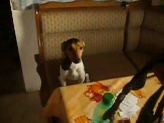 L ETAT DE LYRCO AVEC LE MOT PROMENER