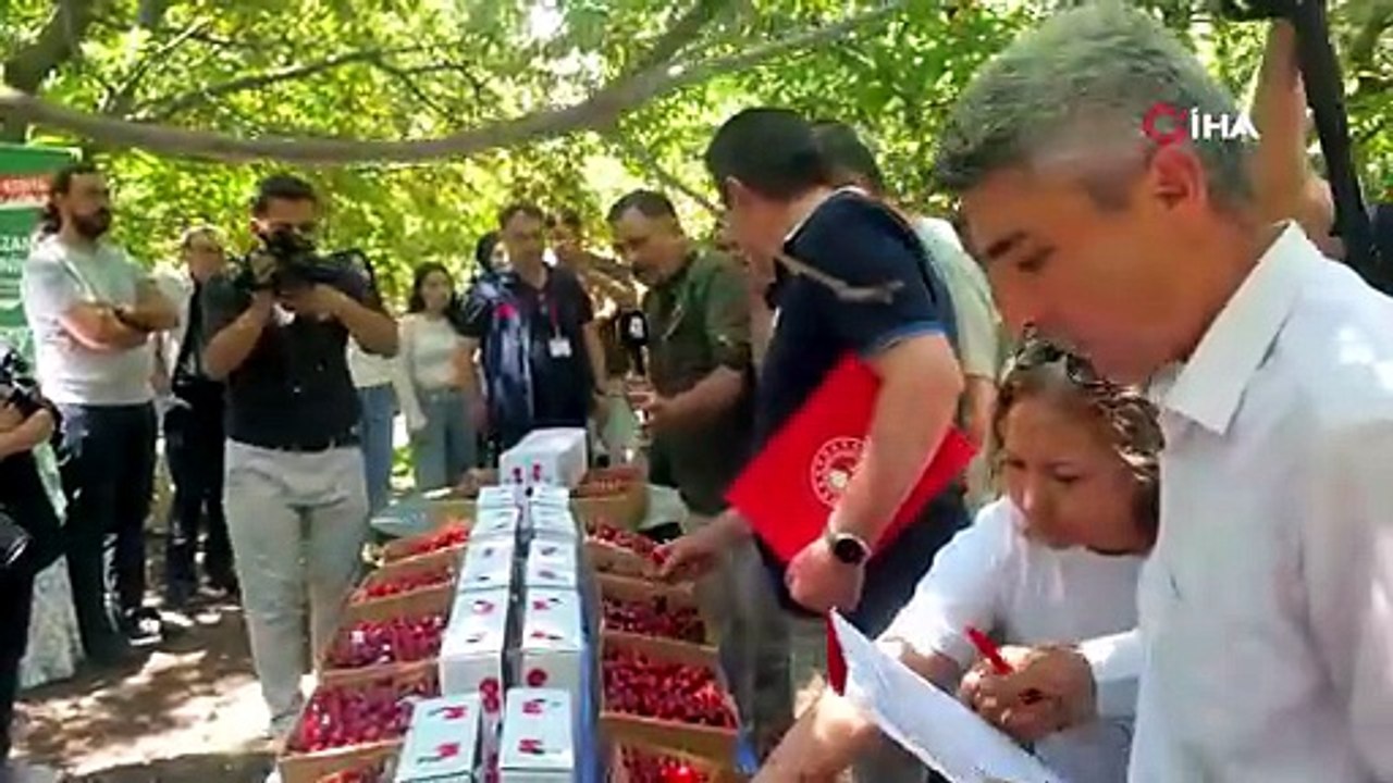 Akşehir'de "Kiraz Hasat Şenliği" coşkusu