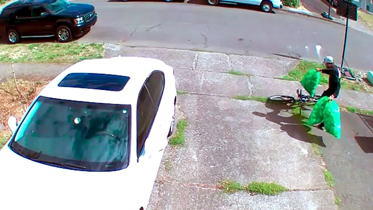 Karma instantané filmé (Instant Karma Caught on Camera)