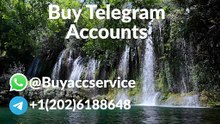 Looking To Buy Verified Telegram  Accounts? Here Are 3 Best ...