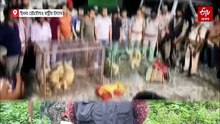 চোৰাং সৰবৰাহকাৰীৰ পৰা উদ্ধাৰ কৰা সোণালী বান্দৰে পালে নতুন ঠিকনা