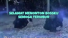 Misi Cinta Sang Pendekar Kota - Subtitle Bahasa Indonesia