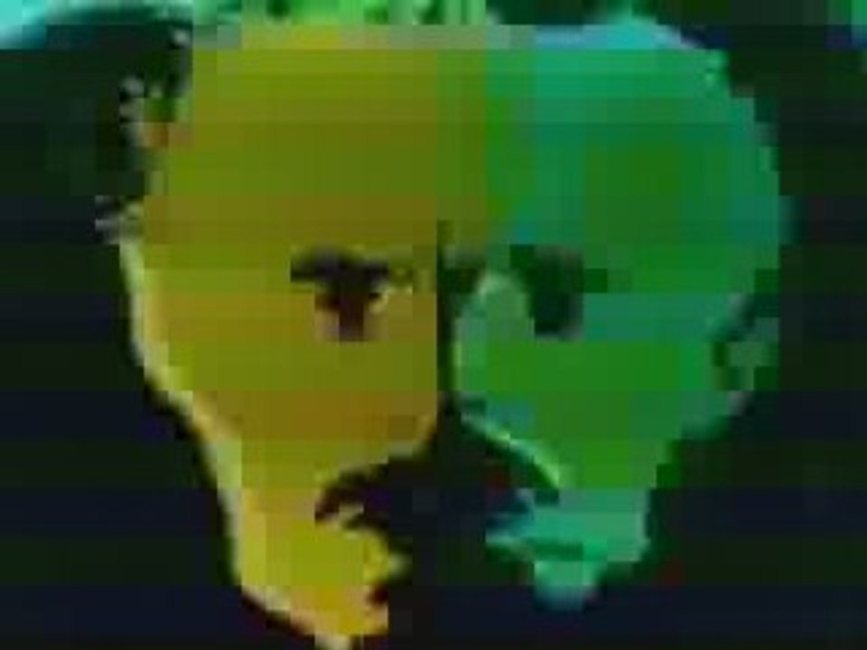 Nam June Paik by Me by Paik