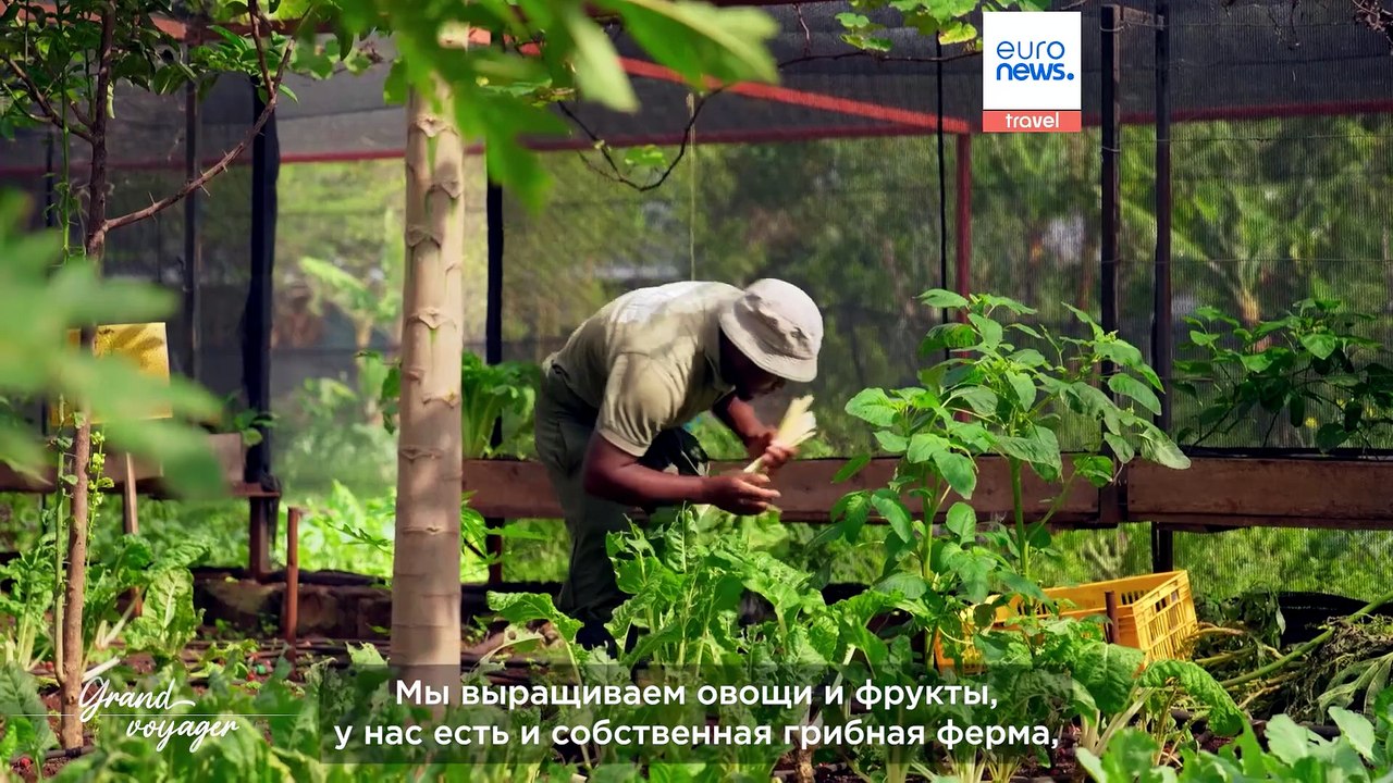Grand Voyager | Путешествие по Найроби