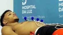 Chegada jogadores do Benfica