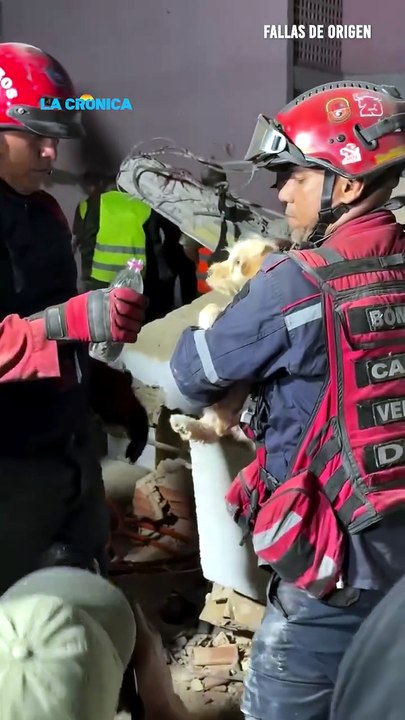 Rescatan a perrito atrapado dentro de los escombros en Caracas