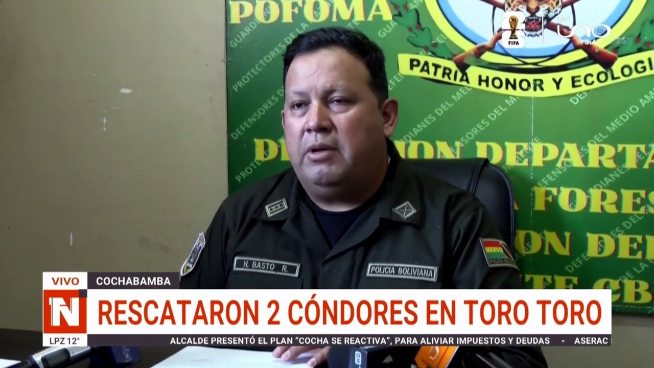 cóndores toro toro