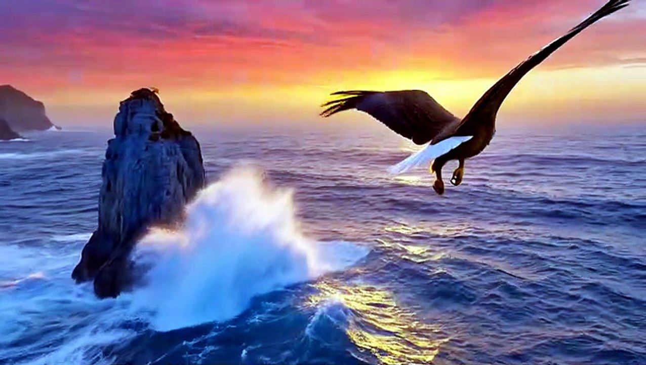 Eagle Over the Ocean