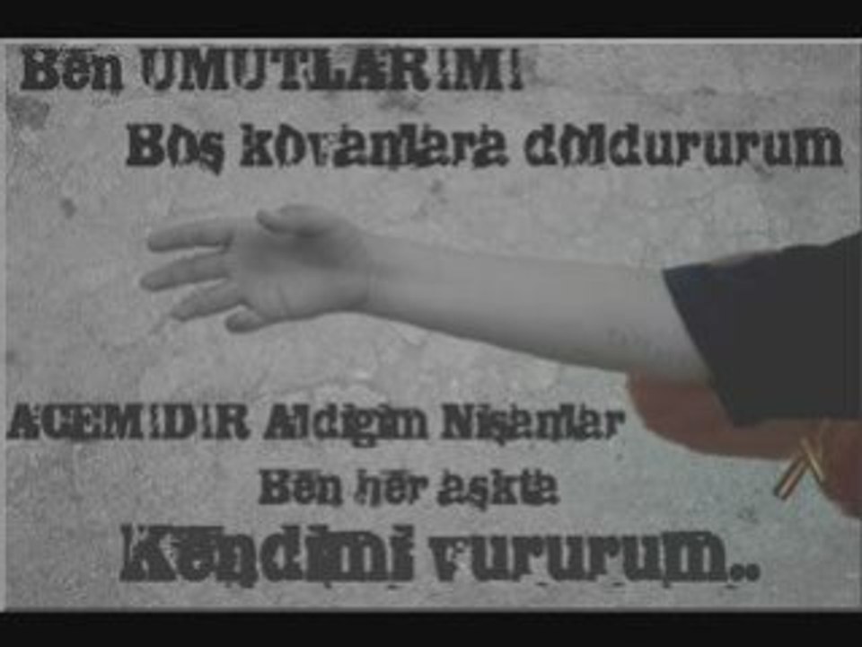 Ezginin Günlüğü - Gemi