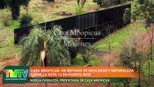Casa Mbopicuá: un refugio de descanso y naturaleza sobre la ruta 12