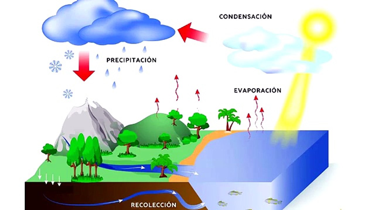 Precipitación