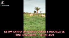 FAZENDA COM 380 ALQUEIRÃO A VENDA CMC