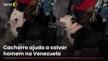 Cachorro de resgate ajuda a salvar homem preso sob escombros após terremotos na Venezuela